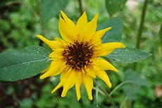 c0124100_10265722.jpg