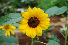c0124100_10283419.jpg