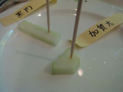 natural garden @ foodies event_b0118001_875995.jpg