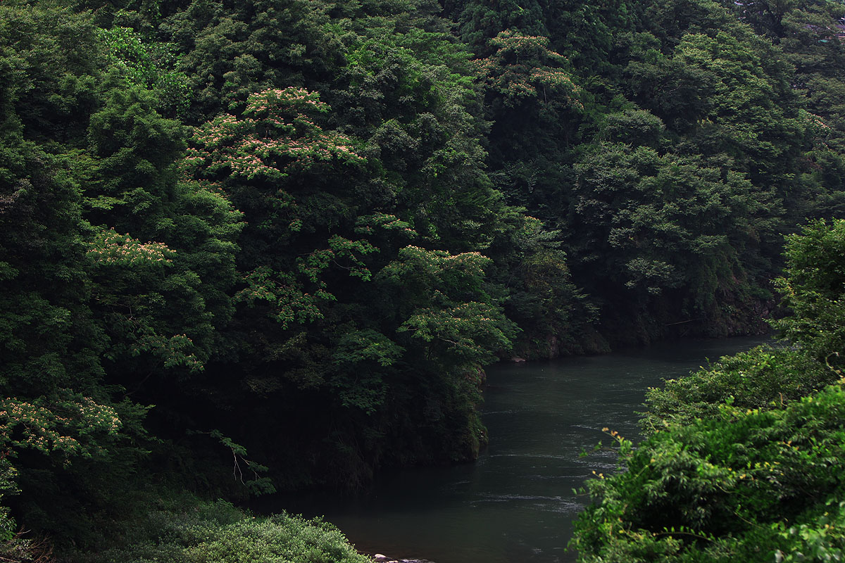 c0115616_5443410.jpg