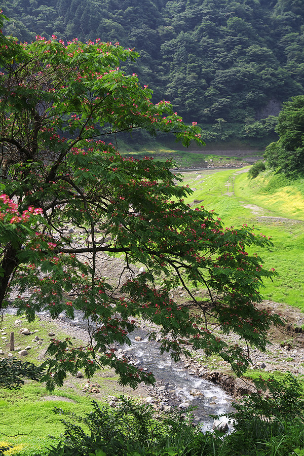 c0115616_544535.jpg
