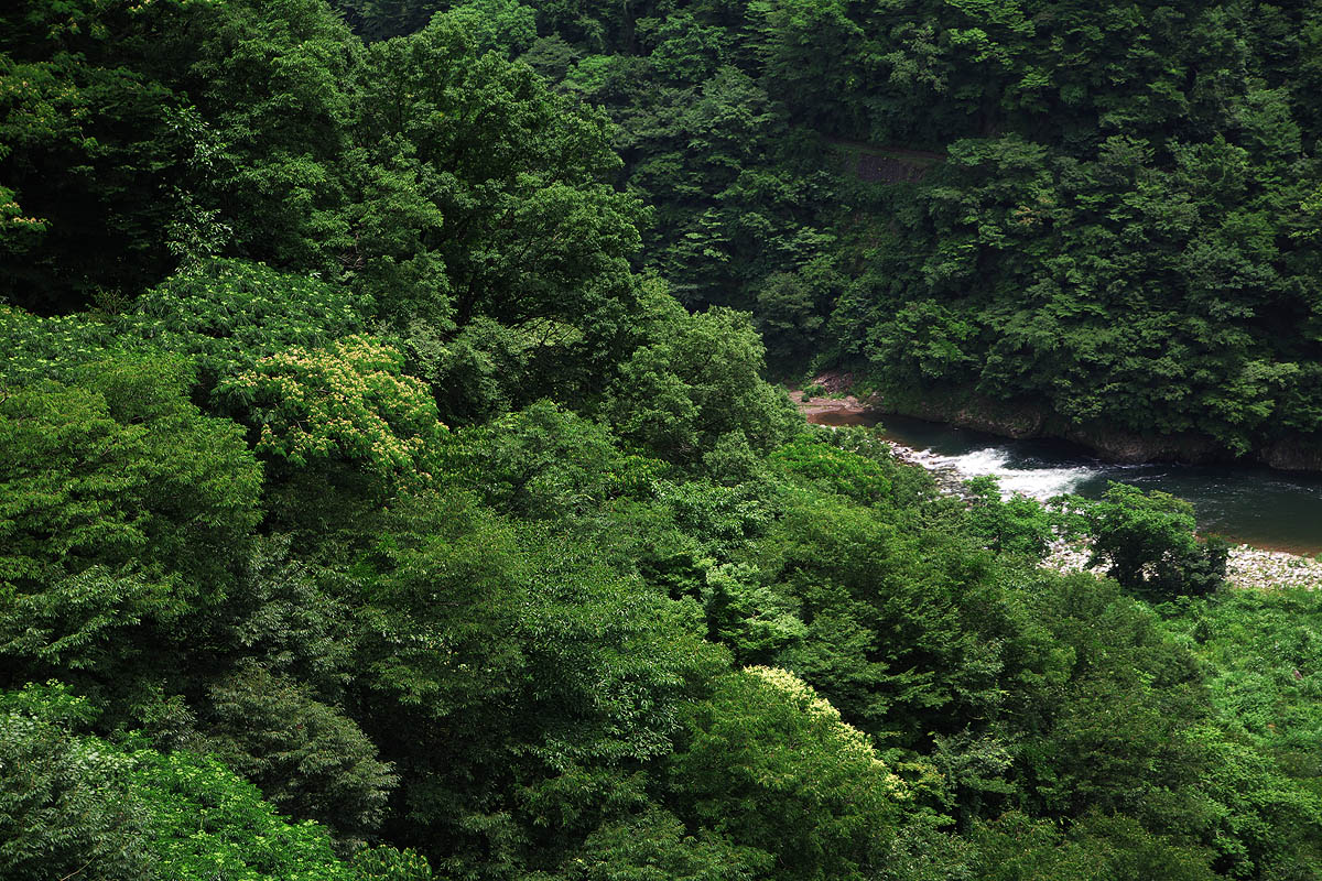 c0115616_5453679.jpg