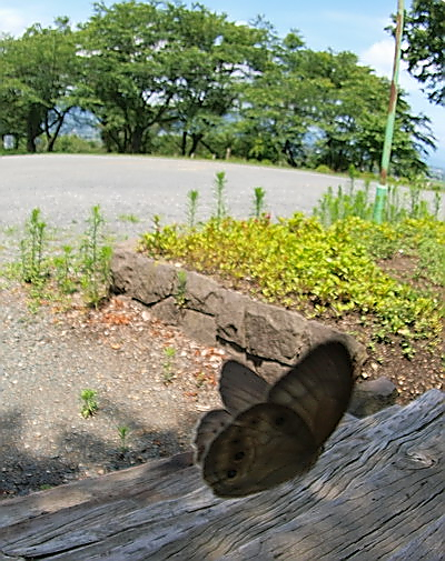 d0090322_0479.jpg