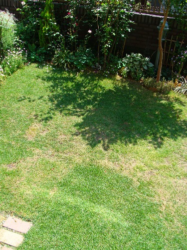 f0170524_12441431.jpg