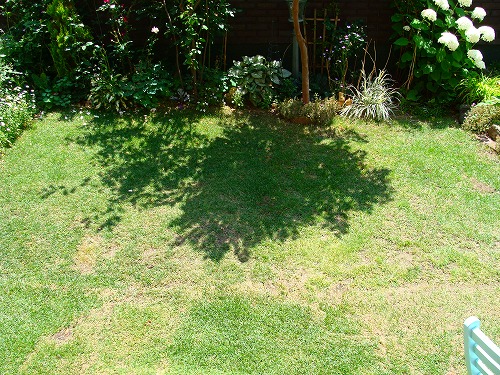 f0170524_12444144.jpg