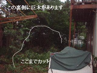f0031037_21115740.jpg