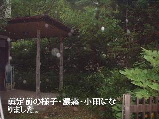 f0031037_211305.jpg