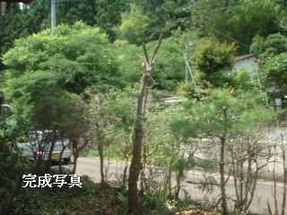 f0031037_21131322.jpg