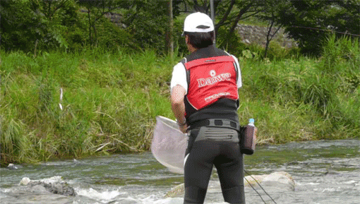 a0056140_0352355.gif
