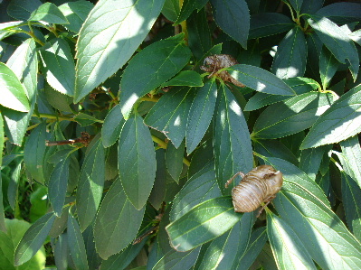 e0060041_10133785.jpg