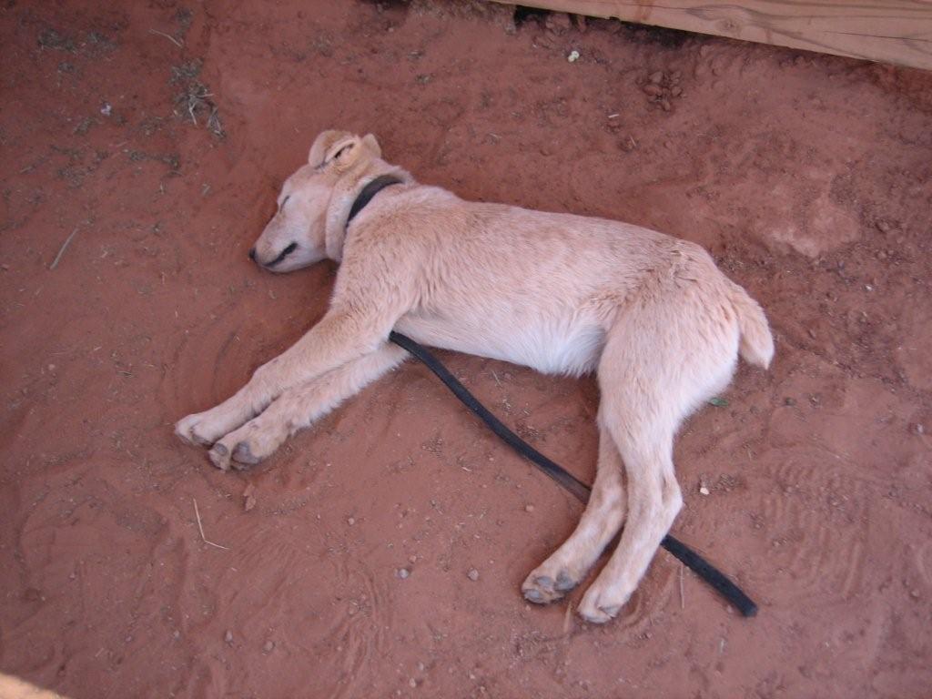 Monument Valley_b0142449_752757.jpg