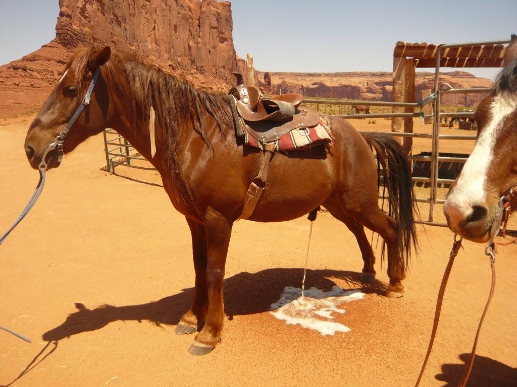 Monument Valley_b0142449_75435.jpg