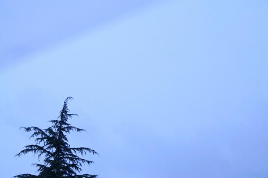 e0126350_1253166.jpg