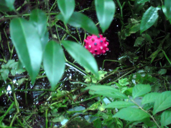 b0005652_19282247.jpg