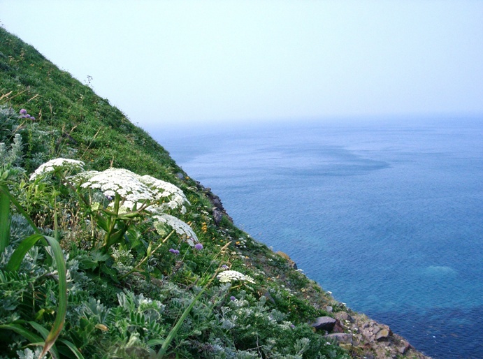 a0098855_1453979.jpg
