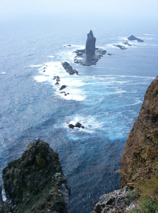 a0098855_1463341.jpg