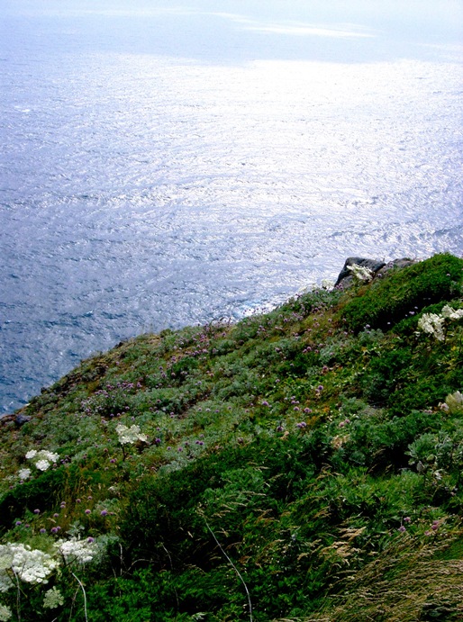 a0098855_148558.jpg