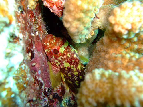 魚は???_d0113459_202984.jpg