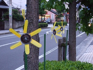 海田町曙町のひまわり満開~ひまわり風車で電光掲示板も_b0095061_832770.jpg