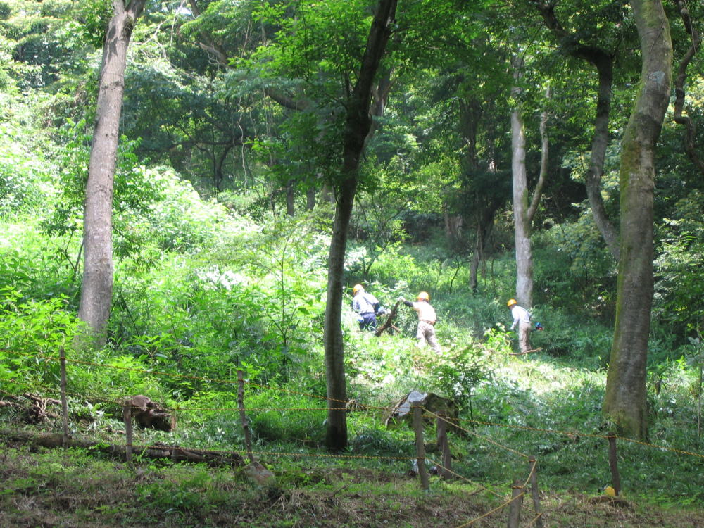 b0129962_16302364.jpg