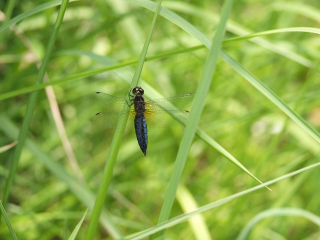 b0135573_21351523.jpg