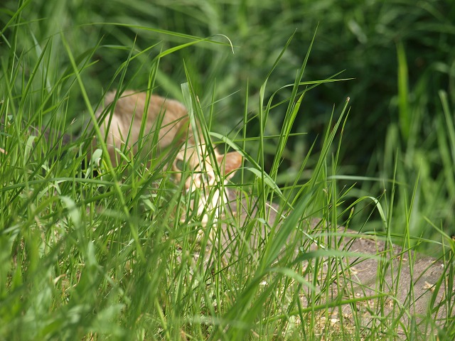 b0135573_21354745.jpg