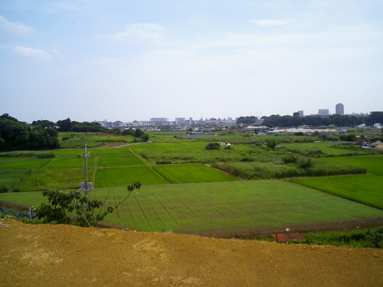 b0155973_20492478.jpg