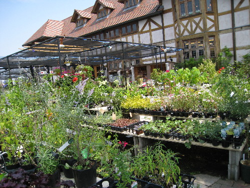 c0132387_044028.jpg