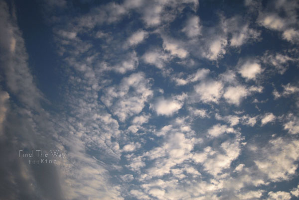 【散歩日和】千葉・千葉公園 〜 Daybreak 3/3_f0054594_5122128.jpg