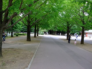 自転車で池袋～朝霞_e0076995_23145918.jpg