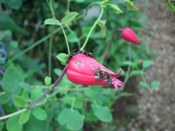 c0117898_14261.jpg