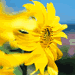 d0131804_14524340.gif