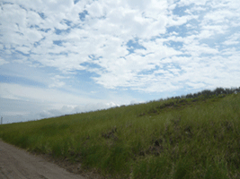 c0022913_1062027.gif