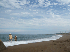 c0022913_1092518.gif