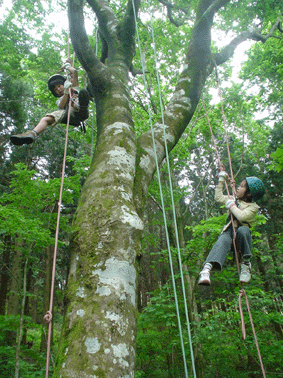 f0061013_22383952.gif
