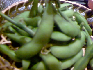 b0154418_14582561.jpg