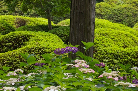 三室戸寺　その9_d0073418_1552894.jpg