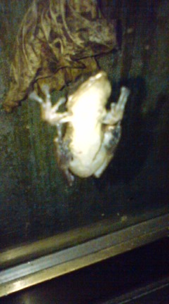 e0069433_21482773.jpg