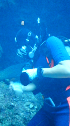 e0069433_21482779.jpg