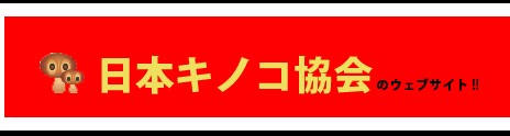 粘菌交流　掲示板 PICK UP!_f0169942_22394223.jpg