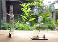 f0159844_1614877.gif