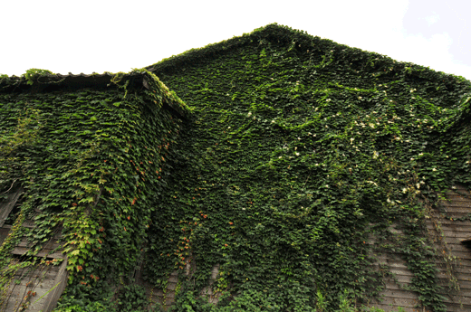 c0093046_6451629.gif