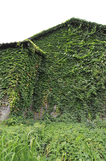c0093046_64540100.gif