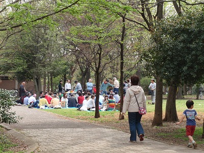 善福寺川緑地公園_c0105785_10111193.jpg