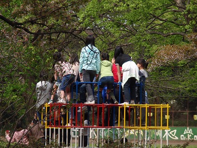 善福寺川緑地公園_c0105785_9523377.jpg