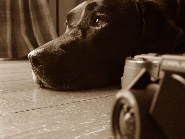 a0093592_0305887.jpg