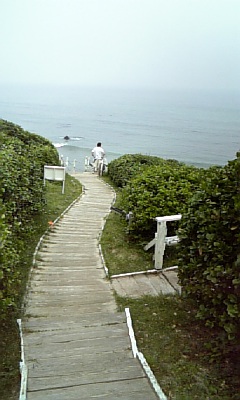 f0165392_17551392.jpg