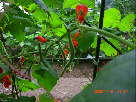 c0151898_22544657.jpg
