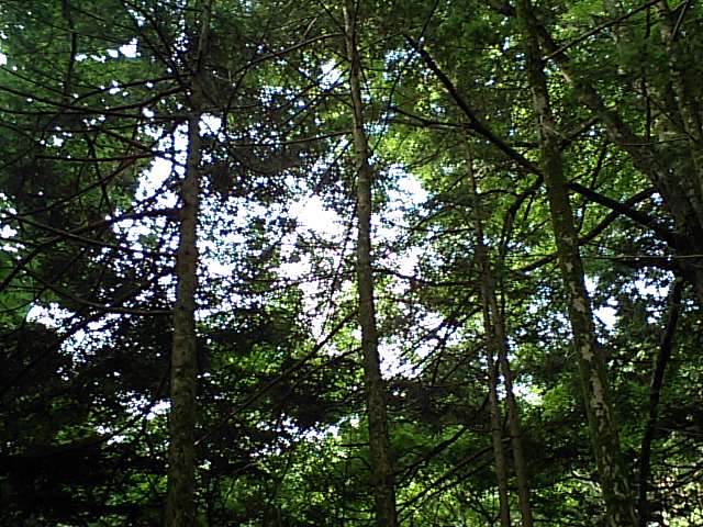 日税研軽井沢研修_d0054704_351739.jpg