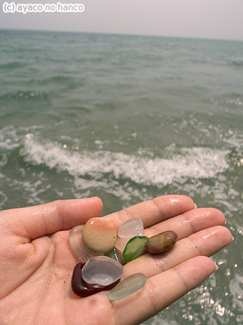 f0079110_10361370.jpg